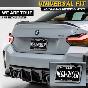 Silver Chrome License Plate Frame